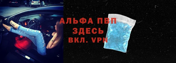 дживик Баксан