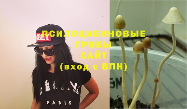 дживик Баксан