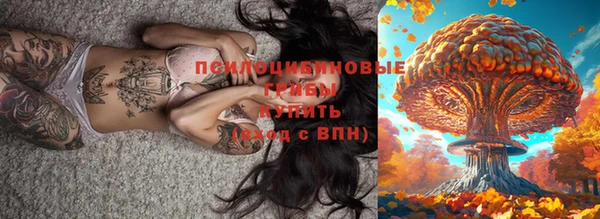 ГАЛЛЮЦИНОГЕННЫЕ ГРИБЫ Балабаново