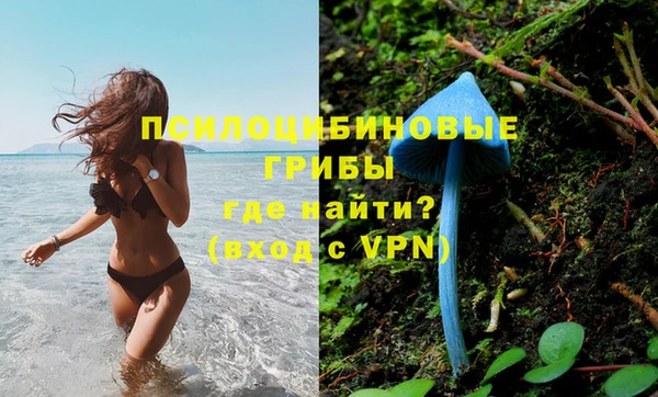 ГАЛЛЮЦИНОГЕННЫЕ ГРИБЫ Балабаново