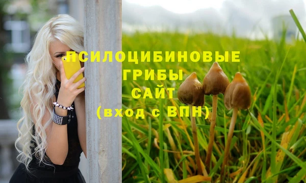 дживик Баксан
